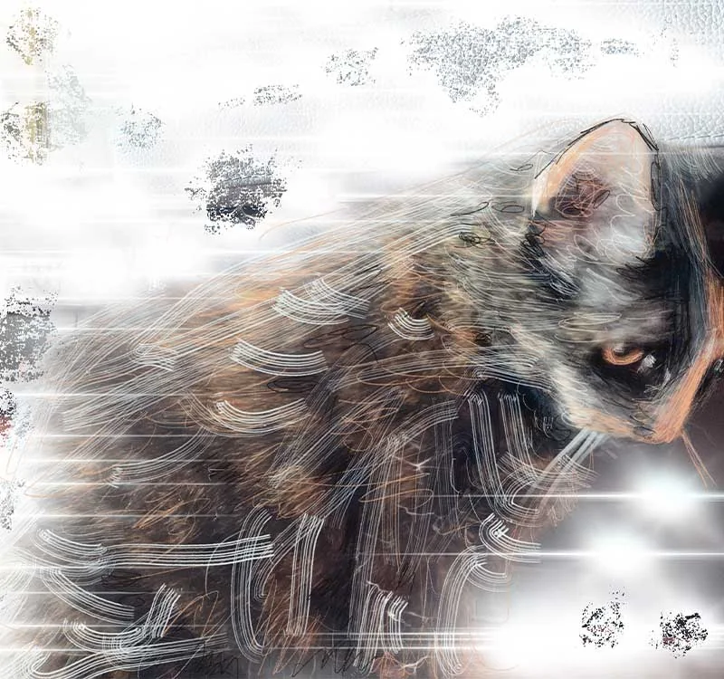 Digital artwork by Ivana Protic, artwork 3